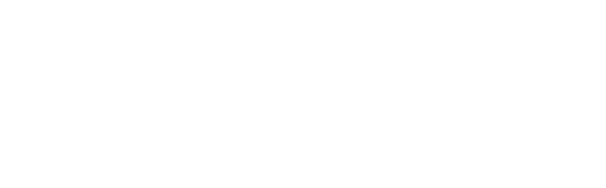 FYX_logo_horizontal (white final)